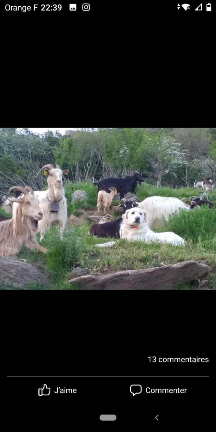 Appartamento U Mulinu Moita Esterno foto