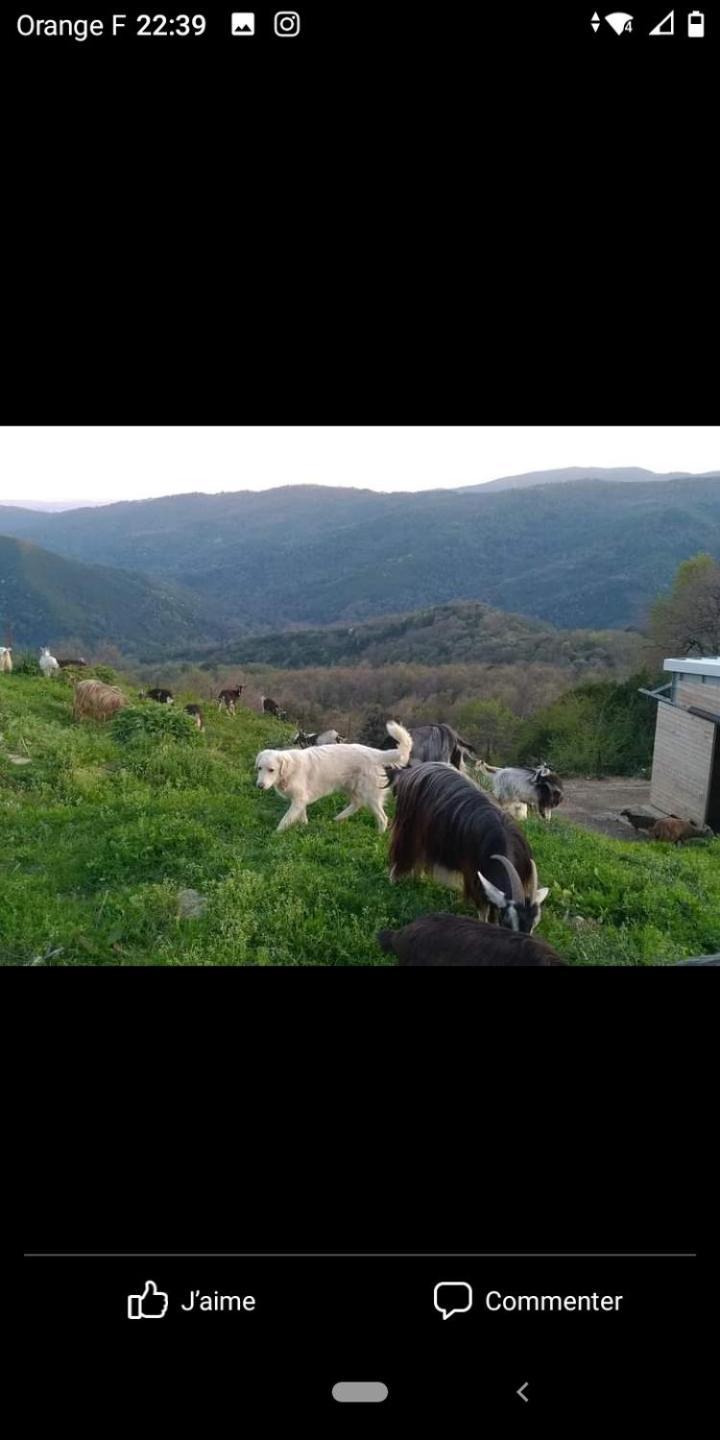 Appartamento U Mulinu Moita Esterno foto