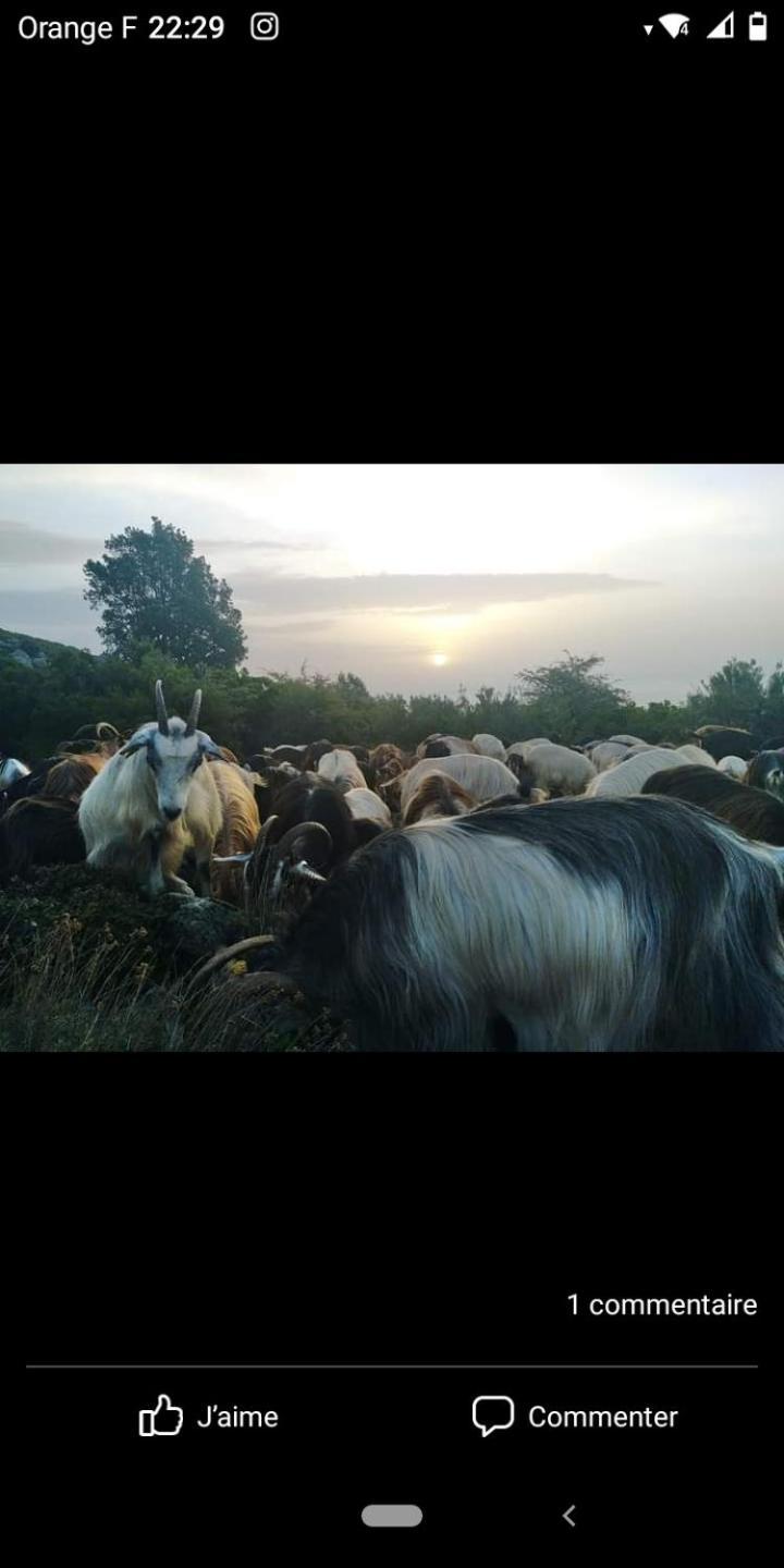 Appartamento U Mulinu Moita Esterno foto
