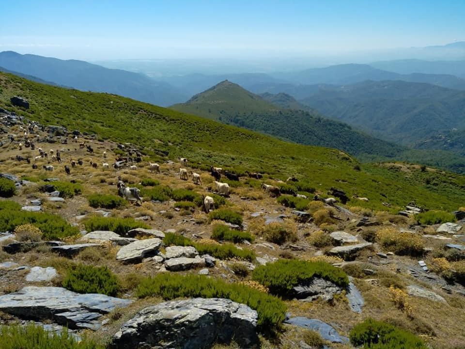 Appartamento U Mulinu Moita Esterno foto